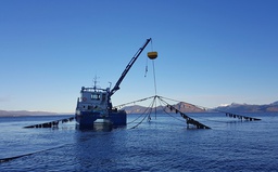 Technical services aquaculture